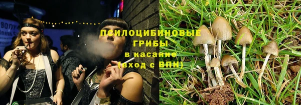 каннабис Арсеньев